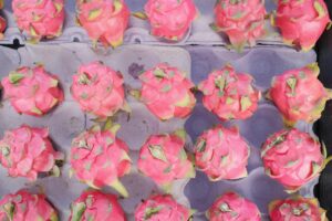 越南紅肉火龍果